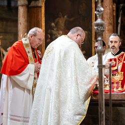 Göttlichen Liturgie / Erzdiözese Wien/ Schönlaub, Stephan Schönlaub