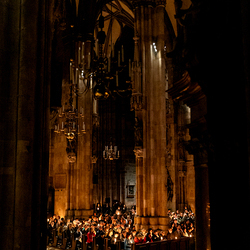 2025 Osternacht / Erzdiözese Wien/Schönlaub