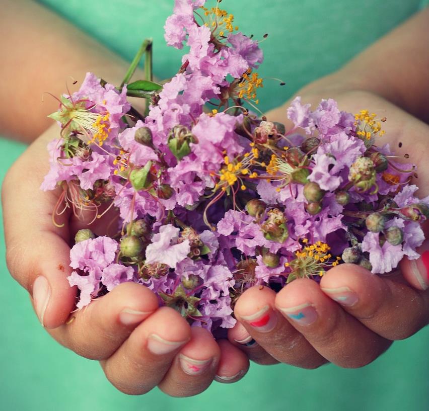 Kinderhände halten Blumen