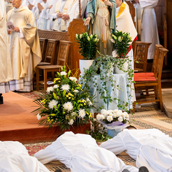 Erzdiözese Wien/Schönlaub, Stephan Schönlaub