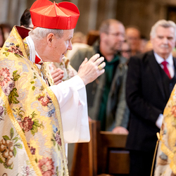 Te-Deum Papst Leo XIV / Erzdiözese Wien/Schönlaub, Stephan Schönlaub
