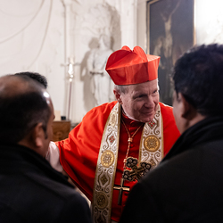 Göttlichen Liturgie / Erzdiözese Wien/ Schönlaub, Stephan Schönlaub