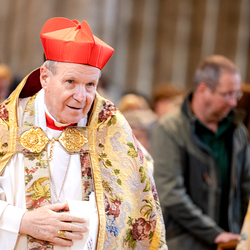 Te-Deum Papst Leo XIV / Erzdiözese Wien/Schönlaub, Stephan Schönlaub