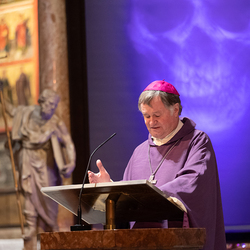 Erzdiözese Wien/ Schönlaub, Stephan Schönlaub