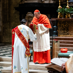 Göttlichen Liturgie / Erzdiözese Wien/ Schönlaub, Stephan Schönlaub