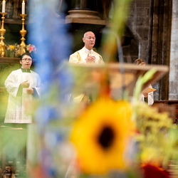 Fiacriusmesse 2025 / Erzdiözese Wien/Schönlaub, Stephan Schönlaub