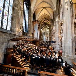 Te-Deum Papst Leo XIV / Erzdiözese Wien/Schönlaub, Stephan Schönlaub