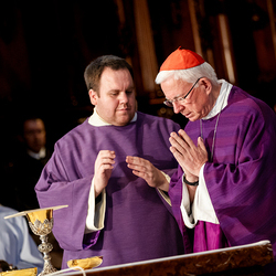Stephansdom: Österreich nahm Abschied von Papst Franziskus