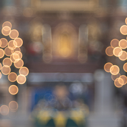 Stephanifest / Erzdiözese Wien/Schönlaub, Stephan Schönlaub