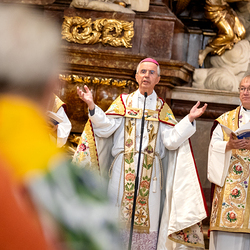 400 Mesnerinnen und Mesner bei österreichweiter Wallfahrt / Erzdiözese Wien/Schönlaub, Stephan Schönlaub 400 Mesnerinnen und Mesner bei österreichweiter Wallfahrt
