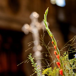 Fiacriusmesse 2025 / Erzdiözese Wien/Schönlaub, Stephan Schönlaub